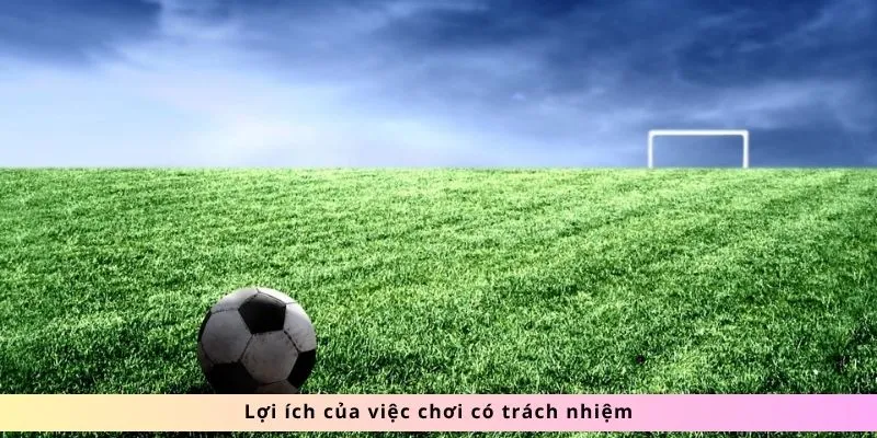 Lợi ích việc chơi có trách nhiệm