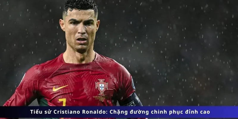 Chặng đường chinh phục đỉnh cao